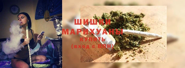 твердый Ельня