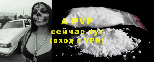 ГАЛЛЮЦИНОГЕННЫЕ ГРИБЫ Елизово