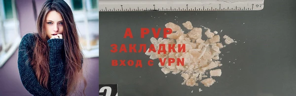 твердый Ельня
