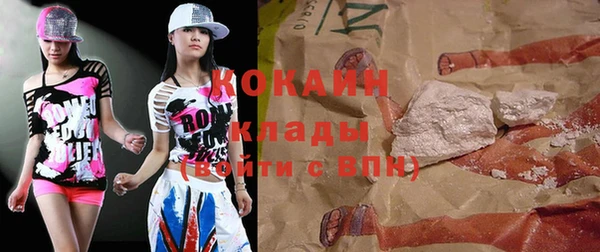 твердый Ельня