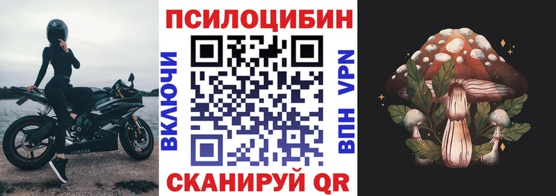 Псилоцибиновые грибы Psilocybe Верхотурье